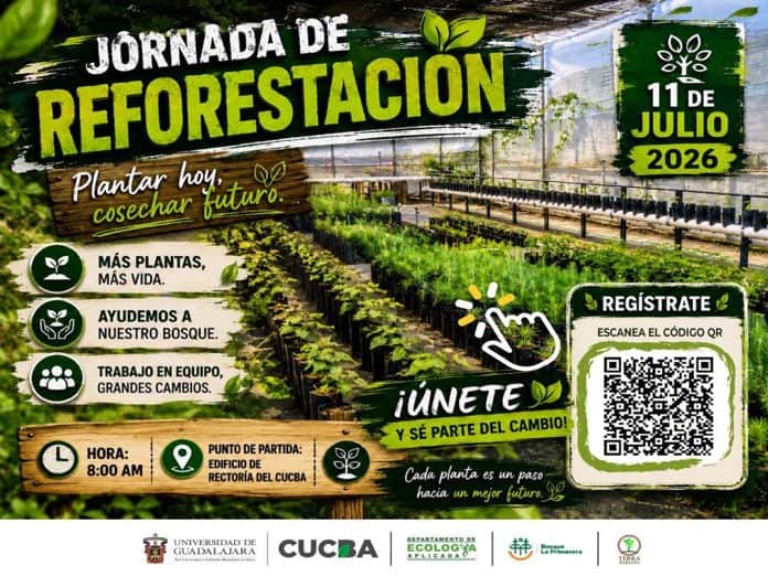 El CUCBA apuesta por reforestar con ciencia para salvar más árboles