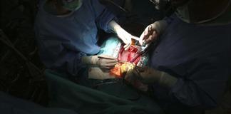 Nace en Argentina el primer cerdo clonado para trasplantes de Latinoamérica Nace en Argentina el primer cerdo clonado para trasplantes de Latinoamérica