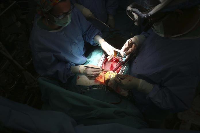 Nace en Argentina el primer cerdo clonado para trasplantes de Latinoamérica Nace en Argentina el primer cerdo clonado para trasplantes de Latinoamérica