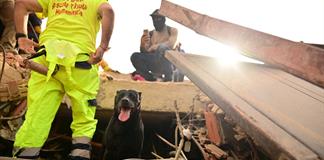 Gobierno venezolano reporta casi 3.000 muertos tras terremotos de junio Gobierno venezolano reporta casi 3.000 muertos tras terremotos de junio
