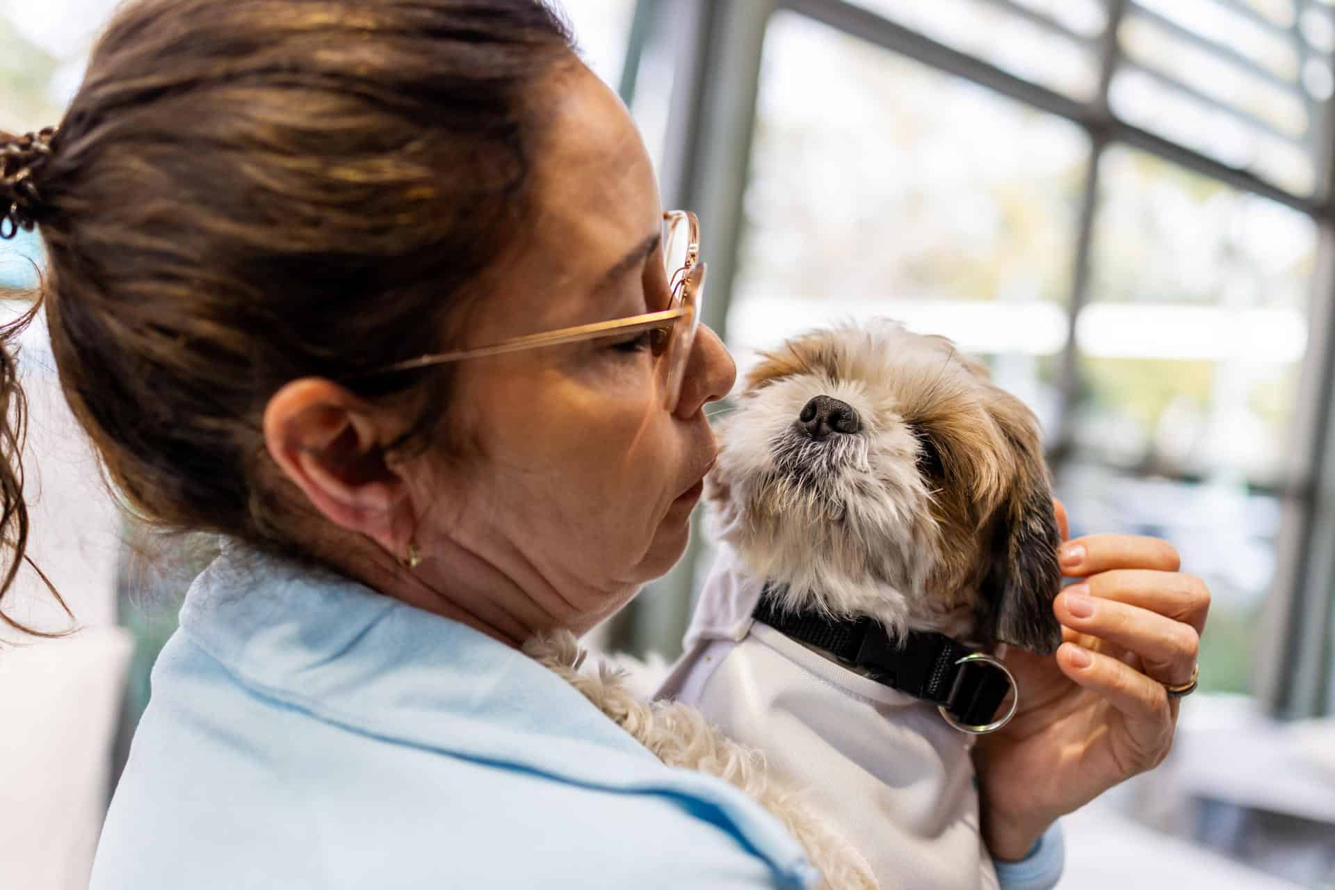 Los perros doctores que ayudan a controlar el dolor crónico en pionera terapia Los perros doctores que ayudan a controlar el dolor crónico en pionera terapia