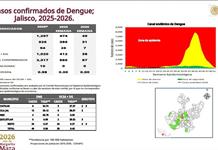 México, séptimo lugar a nivel nacional por casos de dengue