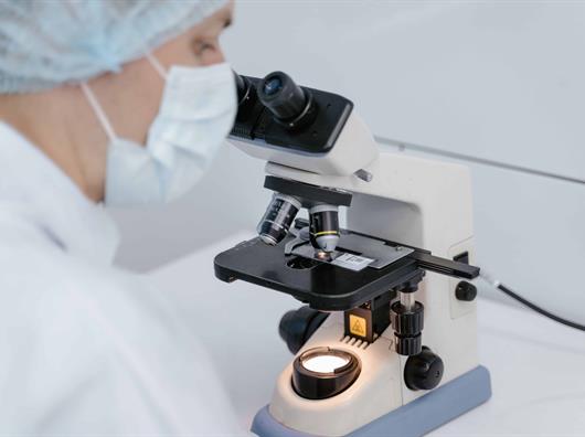 M&aacute;s del 90 % de la poblaci&oacute;n mundial se ver&aacute; afectada de alguna forma por el c&aacute;ncer