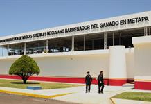 Secretaría de Agricultura inaugura planta de moscas estériles en Chiapas