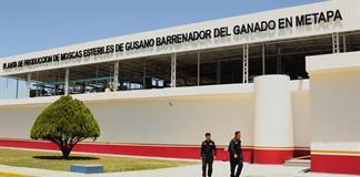Secretar&iacute;a de Agricultura inaugura planta de moscas est&eacute;riles en Chiapas