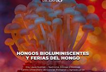 Hongos bioluminiscentes y ferias del hongo - El Expresso de las 10- Mi. 08 Julio 2026