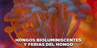 Hongos bioluminiscentes y ferias del hongo - El Expresso de las 10- Mi. 08 Julio 2026 Hongos bioluminiscentes y ferias del hongo - El Expresso de las 10- Mi. 08 Julio 2026