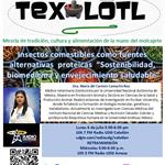 TEXOLOTL [ INSECTOS COMESTIBLES, BIOMEDICINA Y ENVEJECIMIENTO SALUDABLE ] 07-JULIO-2026