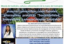 TEXOLOTL [ INSECTOS COMESTIBLES, BIOMEDICINA Y ENVEJECIMIENTO SALUDABLE ] 07-JULIO-2026