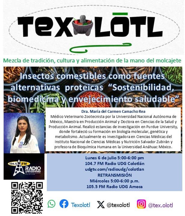 TEXOLOTL [ INSECTOS COMESTIBLES, BIOMEDICINA Y ENVEJECIMIENTO SALUDABLE ] 07-JULIO-2026
