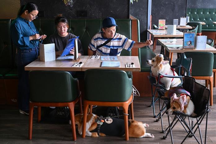 Hong Kong permite por primera vez en décadas la entrada de perros a restaurantes Hong Kong permite por primera vez en décadas la entrada de perros a restaurantes