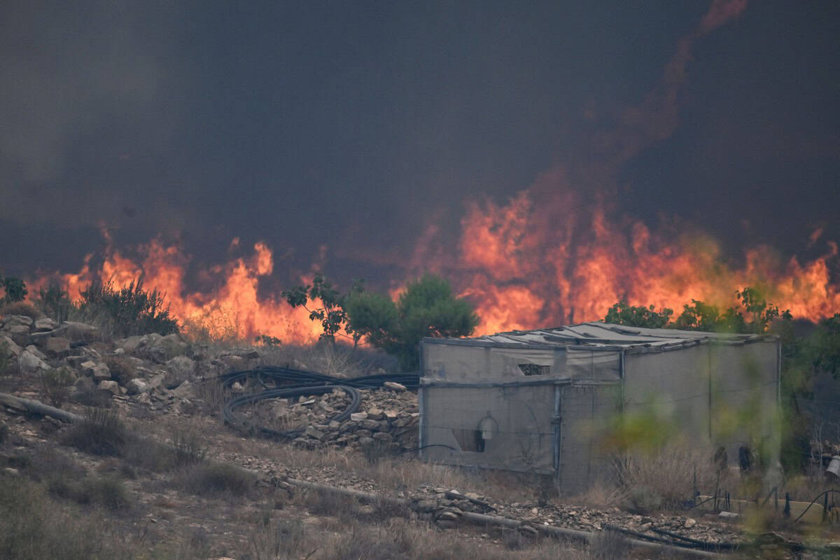Al menos 12 fallecidos y 23 personas sin localizar en un violento incendio en el sur de España Al menos 12 fallecidos y 23 personas sin localizar en un violento incendio en el sur de España