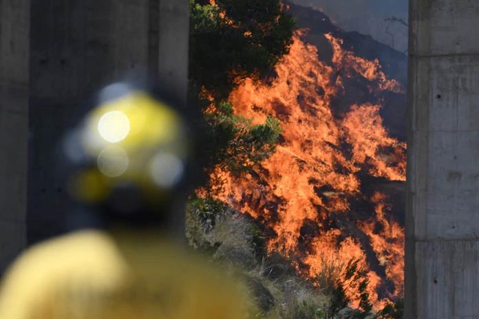 Al menos 12 fallecidos y 23 personas sin localizar en un violento incendio en el sur de España Al menos 12 fallecidos y 23 personas sin localizar en un violento incendio en el sur de España