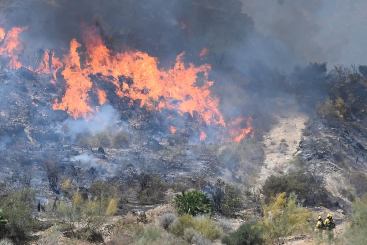 Al menos 12 fallecidos y 23 personas sin localizar en un violento incendio en el sur de España Al menos 12 fallecidos y 23 personas sin localizar en un violento incendio en el sur de España