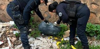 Investigan hallazgo de 65 perros y gatos muertos en El Salto, sospechan de veterinaria que cobró su cremación Investigan hallazgo de 65 perros y gatos muertos en El Salto, sospechan de veterinaria que cobró su cremación