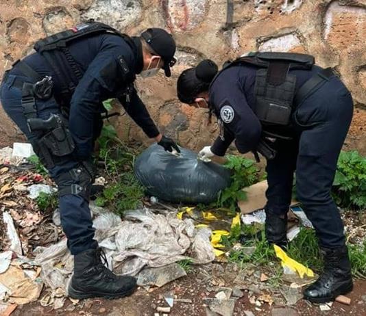 Investigan hallazgo de 65 perros y gatos muertos en El Salto, sospechan de veterinaria que cobró su cremación Investigan hallazgo de 65 perros y gatos muertos en El Salto, sospechan de veterinaria que cobró su cremación