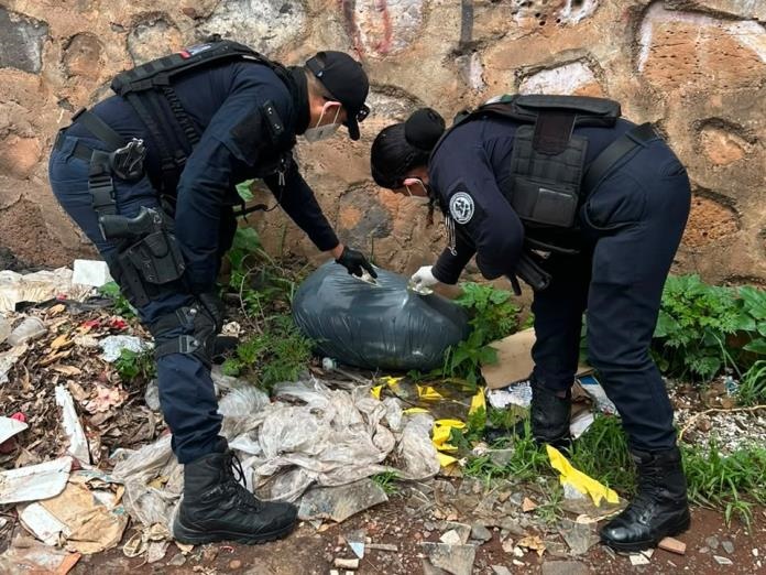 Investigan hallazgo de 65 perros y gatos muertos en El Salto, sospechan de veterinaria que cobró su cremación Investigan hallazgo de 65 perros y gatos muertos en El Salto, sospechan de veterinaria que cobró su cremación