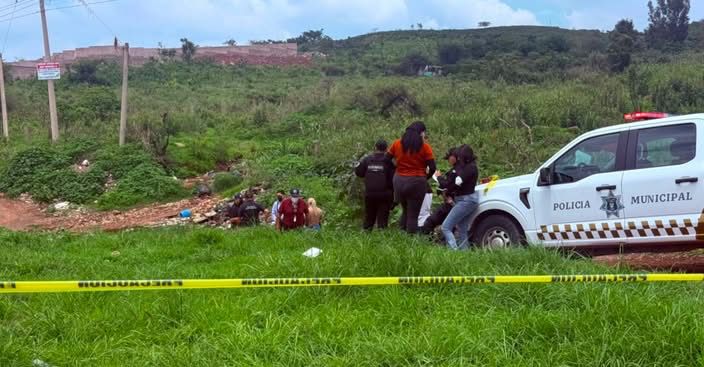 Investigan hallazgo de 65 perros y gatos muertos en El Salto, sospechan de veterinaria que cobró su cremación Investigan hallazgo de 65 perros y gatos muertos en El Salto, sospechan de veterinaria que cobró su cremación