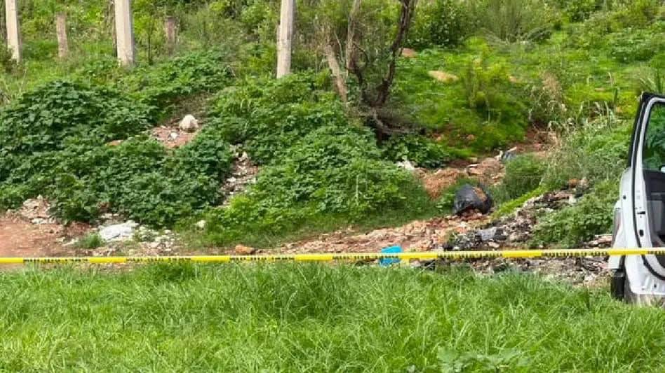 Investigan hallazgo de 65 perros y gatos muertos en El Salto, sospechan de veterinaria que cobró su cremación Investigan hallazgo de 65 perros y gatos muertos en El Salto, sospechan de veterinaria que cobró su cremación