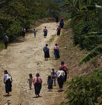 CNI denuncia criminalización contra comunidades indígenas en Chiapas CNI denuncia criminalización contra comunidades indígenas en Chiapas