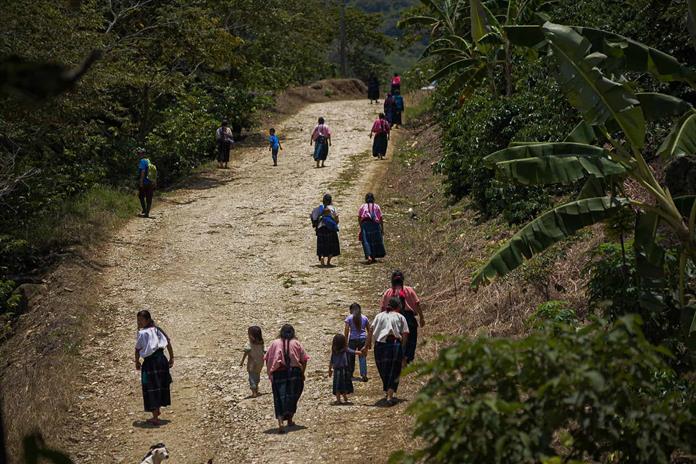 CNI denuncia criminalización contra comunidades indígenas en Chiapas CNI denuncia criminalización contra comunidades indígenas en Chiapas