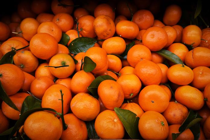 Ecuador exporta a EE.UU. unos 23.000 kilos de mandarinas vía marítima con tratamiento frío Ecuador exporta a EE.UU. unos 23.000 kilos de mandarinas vía marítima con tratamiento frío