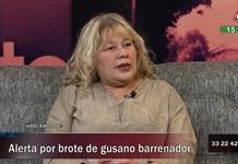Gusano barrenador ya preocupa también a las ciudades, alerta epidemióloga Gusano barrenador ya preocupa también a las ciudades, alerta epidemióloga