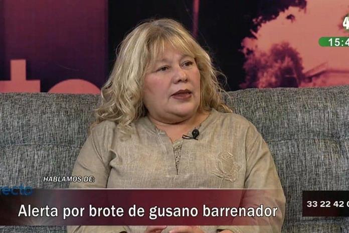 Gusano barrenador ya preocupa también a las ciudades, alerta epidemióloga Gusano barrenador ya preocupa también a las ciudades, alerta epidemióloga
