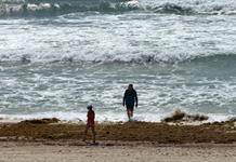 Sargazo, falta de vuelos y crisis global tienen al Caribe mexicano con ocupación del 60 % Sargazo, falta de vuelos y crisis global tienen al Caribe mexicano con ocupación del 60 %