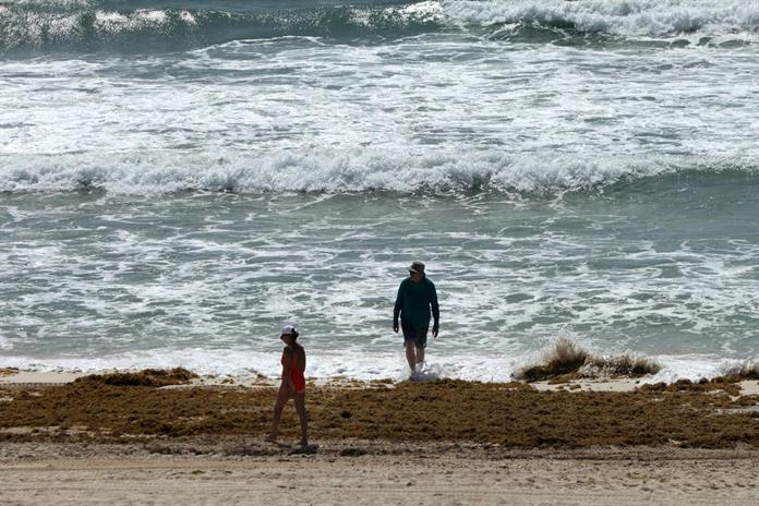 Sargazo, falta de vuelos y crisis global tienen al Caribe mexicano con ocupación del 60 % Sargazo, falta de vuelos y crisis global tienen al Caribe mexicano con ocupación del 60 %