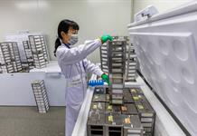 Crean un atlas con más 92 millones de elementos del ADN que controlan los genes humanos Crean un atlas con más 92 millones de elementos del ADN que controlan los genes humanos