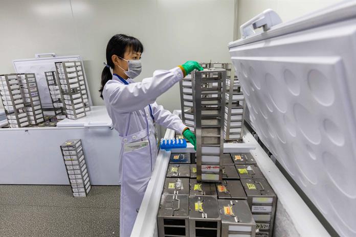 Crean un atlas con más 92 millones de elementos del ADN que controlan los genes humanos Crean un atlas con más 92 millones de elementos del ADN que controlan los genes humanos