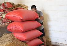 Sector terciario en México pide cabeza fría y preparación técnica en revisión del T-MEC Sector terciario en México pide cabeza fría y preparación técnica en revisión del T-MEC