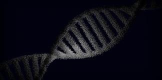 El uso de la IA para dise&ntilde;ar prote&iacute;nas nuevas ampl&iacute;a las herramientas de edici&oacute;n gen&eacute;tica