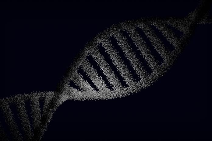 El uso de la IA para diseñar proteínas nuevas amplía las herramientas de edición genética El uso de la IA para diseñar proteínas nuevas amplía las herramientas de edición genética