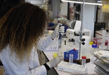 Investigadoras mexicanas estudian microalgas para elaborar colorantes sostenibles Investigadoras mexicanas estudian microalgas para elaborar colorantes sostenibles
