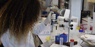 Investigadoras mexicanas estudian microalgas para elaborar colorantes sostenibles Investigadoras mexicanas estudian microalgas para elaborar colorantes sostenibles