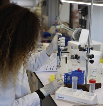 Investigadoras mexicanas estudian microalgas para elaborar colorantes sostenibles Investigadoras mexicanas estudian microalgas para elaborar colorantes sostenibles