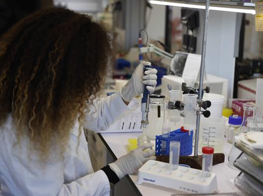Investigadoras mexicanas estudian microalgas para elaborar colorantes sostenibles