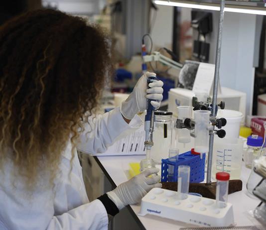 Investigadoras mexicanas estudian microalgas para elaborar colorantes sostenibles