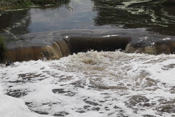 Señalan responsabilidad industrial en el agua contaminada de Guadalajara Señalan responsabilidad industrial en el agua contaminada de Guadalajara