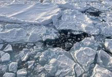 Centro Nacional de Oceanografía y Universidad Southampton reportan mínimos históricos de hielo Ártico Centro Nacional de Oceanografía y Universidad Southampton reportan mínimos históricos de hielo Ártico