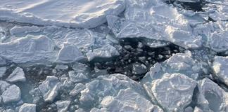 Centro Nacional de Oceanografía y Universidad Southampton reportan mínimos históricos de hielo Ártico Centro Nacional de Oceanografía y Universidad Southampton reportan mínimos históricos de hielo Ártico