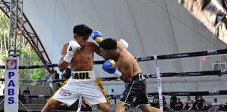 Zapotl&aacute;n alista su primer Consejo de Box, Lucha Libre y Artes Marciales Mixtas.