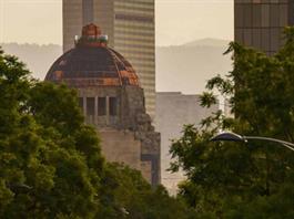 Zapatistas acudirá en diciembre a CDMX con madres buscadoras Zapatistas acudirá en diciembre a CDMX con madres buscadoras