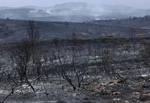 La angustia y el dolor ante el voraz incendio a 100 kilómetros de Madrid La angustia y el dolor ante el voraz incendio a 100 kilómetros de Madrid