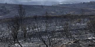 La angustia y el dolor ante el voraz incendio a 100 kilómetros de Madrid