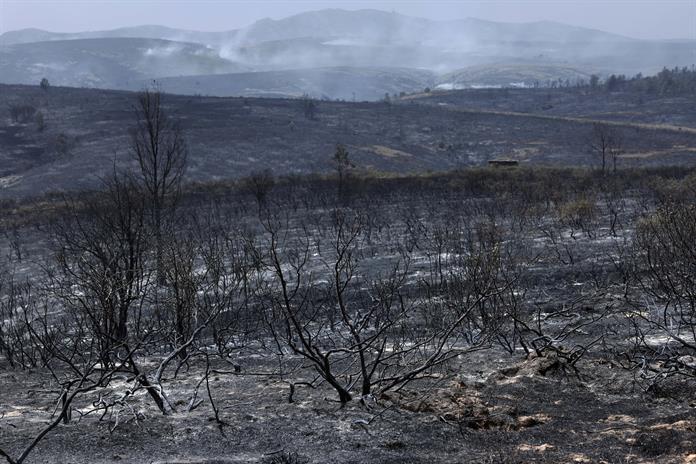 La angustia y el dolor ante el voraz incendio a 100 kilómetros de Madrid La angustia y el dolor ante el voraz incendio a 100 kilómetros de Madrid