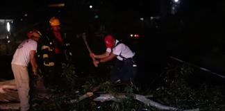 Fueron 93 &aacute;rboles los que derrib&oacute; la tormenta de la madrugada del mi&eacute;rcoles en la Zona Metropolitana de Guadalajara