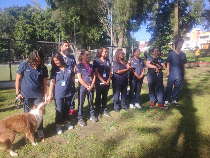 Comprarán unidad móvil para esterilizaciones y aplicación de vacunas a perros y gatos